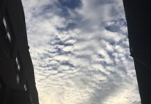 Ίσως μιλάμε την ίδια γλώσσα