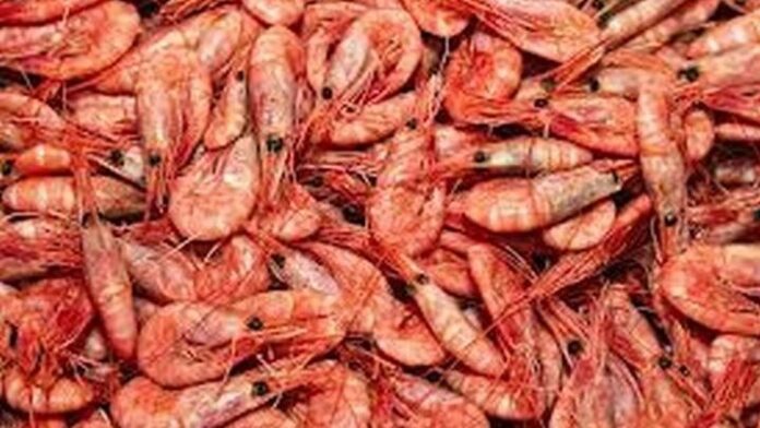 20992_20100_regular_720_643726_42eef18552-a1463cb3ab0a0f5b