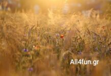 Ευχές από το All4fun.gr!