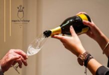 «Αφρός & Νέκταρ» στο Φουαγιέ Τεχνών του Ωδείου Αθηνών