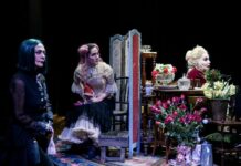 Περί Θεάτρου – Γράφει ο Γιάννης Γαβρίλης για την παράσταση “Ντάμα Πίκα”