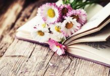 Ποίημα Εβδομάδας – “Περσεφόνη” της Εσμεράλδας Γκέκα