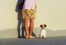 “Η πιο εκκωφαντική σιωπή” – Ένα αφιέρωμα στον Άλφι”